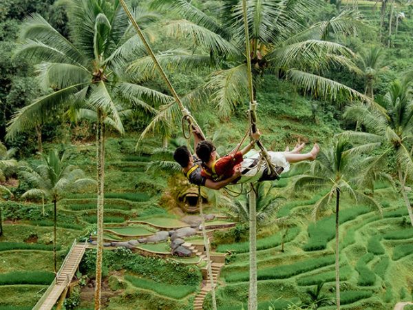 Alas Harum Bali: Ticket, Swings