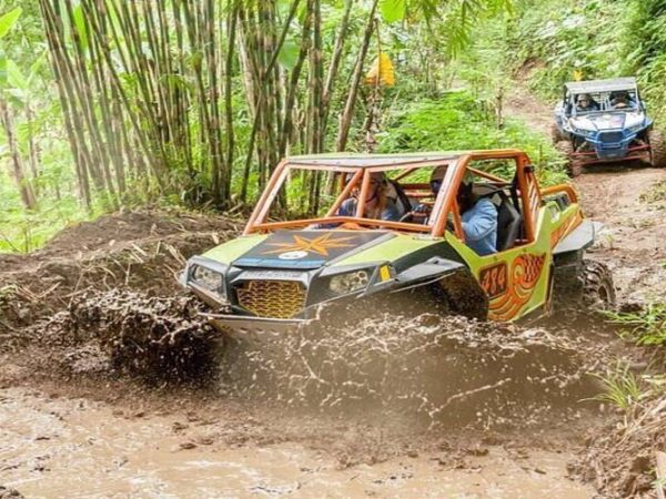 Alasan Adventures: UTV Ride Experience In Ubud