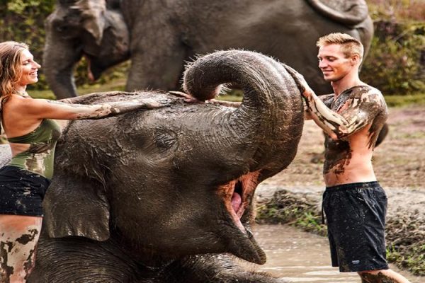 Bali Zoo Experience