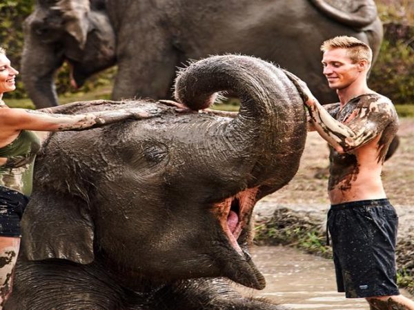 Bali Zoo Experience